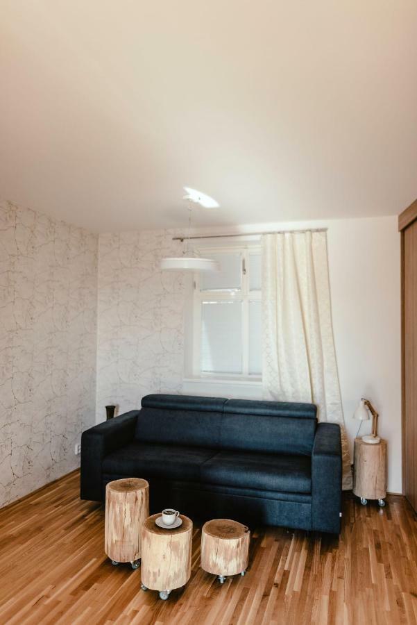 Luxury Apartments Zelny Trh 4 برنو المظهر الخارجي الصورة